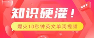 知识硬灌,1分钟教会你,利用AI制作爆火10秒钟记一个英文单词视频-第一资源库
