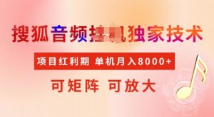 全网首发搜狐音频挂JI独家技术,项目红利期,可矩阵可放大,稳定月入8k【揭秘】-第一资源库