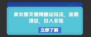美女图文视频搬运玩法，亲测项目，日入多张-第一资源库