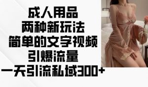 成人用品两种新玩法，简单的文字视频引爆流量，一天引流私域300+-第一资源库