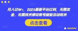 月入过W+，2025最新平台红利，无需本金、无需技术绑定账号就能自动收米-第一资源库