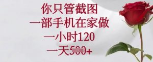 你只管截图，一部手机在家做，一小时120.一天5张【揭秘】-第一资源库