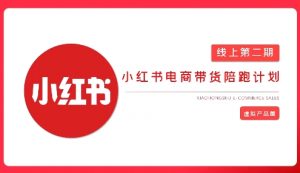 2025小红书虚拟电商实战课，从0到1打造无货源店铺，AI+爆款笔记轻松变现-第一资源库
