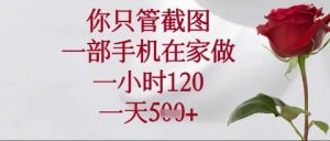 你只管截图，一部手机在家操作，一小时120.一天5张【揭秘】-第一资源库