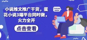 小说推文推广干货，蛋花小说3端平台同时做，火力全开-第一资源库