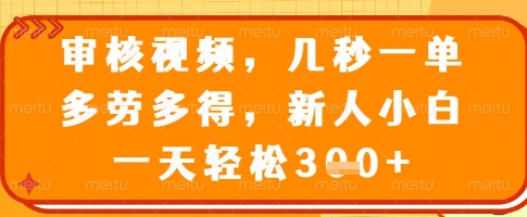 审核视频，几秒一单，多劳多得，新人小白一天轻松3张【揭秘】-第一资源库