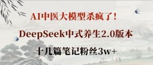 AI中医大模型杀疯了!DeepSeek中式养生2.0版本,十几篇笔记粉丝3w+-第一资源库