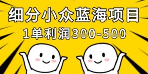 细分小众蓝海项目，一单利润3张，每月收入稳定过1w+-第一资源库