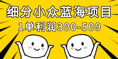 细分小众蓝海项目，一单利润3张，每月收入稳定过1w+-第一资源库