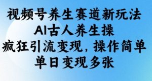 视频号养生赛道新玩法，AI古人养生操，疯狂引流变现，操作简单，单日变现多张-第一资源库