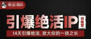 引爆绝活IP训练营，14天引爆绝活，放大你的一技之长-第一资源库