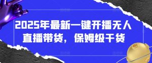 2025年最新一键开播无人直播带货,保姆级干货-第一资源库