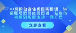 AI高阶自媒体项目实操课，讲透账号运营底层逻辑，从发布视频到规避违规一网打尽-第一资源库