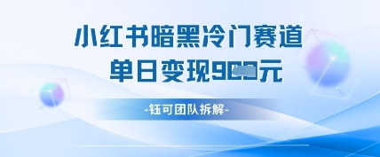 小红书冷门”暗黑”赛道，单日收益多张-第一资源库