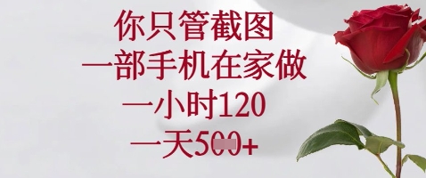 你只管截图,一部手机在家做,苹果安卓都可以,一小时120,一天5张+【揭秘】-第一资源库