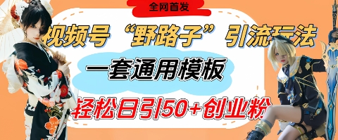 视频号“野路子”玩法，评论区疯狂截流，一套模板单日单号引流50+创业粉-第一资源库