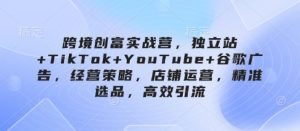 跨境创富实战营，独立站+TikTok+YouTube+谷歌广告，经营策略，店铺运营，精准选品，高效引流-第一资源库