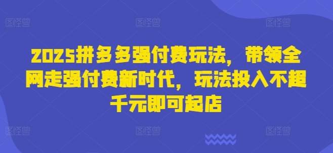 2025拼多多强付费玩法，带领全网走强付费新时代，玩法投入不超千元即可起店-第一资源库