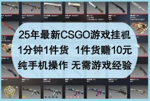 25年最新CSGO游戏挂G,1分钟1件货,1件货挣10元,纯手机操作,无需游戏经验【揭秘】-第一资源库