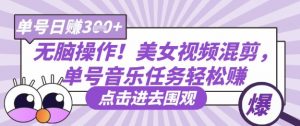 无脑操作！美女视频混剪，单号音乐任务轻松日入3张+-第一资源库