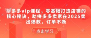 拼多多vip课程,零基础打造店铺的核心秘诀,助拼多多卖家在2025卖出爆款,订单不断-第一资源库