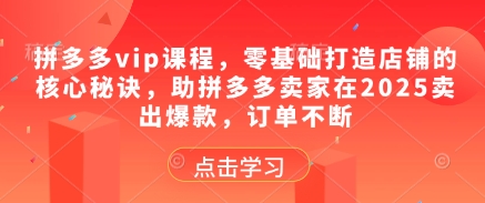 拼多多vip课程,零基础打造店铺的核心秘诀,助拼多多卖家在2025卖出爆款,订单不断-第一资源库