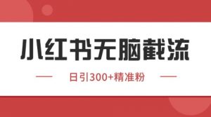 小红书只要你有同行就能获客,独家野路子获客玩法,暴力截流【揭秘】-第一资源库