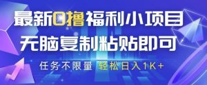 最新0撸福利小项目，抖音平台大放水，无脑复制粘贴 即可挣钱，任务不限量，轻松日入1K+【揭秘】-第一资源库