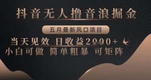 抖音无人撸音浪掘金，五月最新风口项目，当天见效，日收益多张，小白可做简单粗暴可矩阵【揭秘】-第一资源库