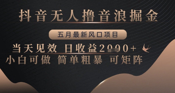 抖音无人撸音浪掘金，五月最新风口项目，当天见效，日收益多张，小白可做简单粗暴可矩阵【揭秘】-第一资源库