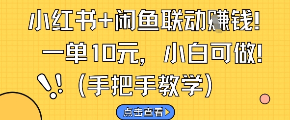 小红书+闲鱼联动挣钱,一单10元,小白可做-第一资源库