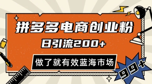 拼多多引流电商创业粉，日引200+，可矩阵放大，做了就有效【揭秘】-第一资源库