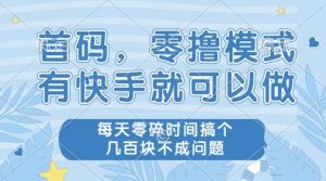 首码，零撸模式，有快手就可以做，每天零碎时间搞个几张不成问题【揭秘】-第一资源库