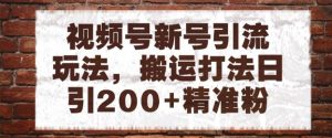 视频号新号引流玩法，搬运打法日引200+精准粉，可矩阵放大【揭秘】-第一资源库