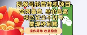 视频号托管挂G项目全网最稳,单价最高,绿色安全不封号提现秒到账,操作简单,收益稳定【揭秘】-第一资源库