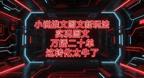 小说推文图文新玩法，实况图文，万播二十单，这转化太牛了！-第一资源库