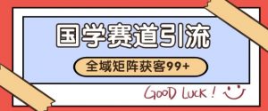 小红书某音国学赛道引流获客 自热矩阵日引200+【揭秘】-第一资源库