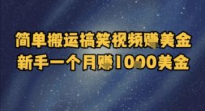 简单搬运搞笑视频挣美金，新手一个月入1k美金-第一资源库