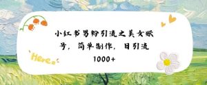 小红书男粉引流项目之美女账号6，简单制作，条条爆款原创，不违规-第一资源库