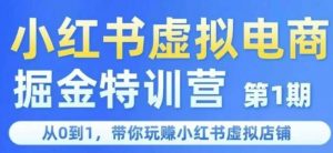 小红书虚拟电商掘金特训营第1期，从0到1，带你玩转小红书虚拟店铺-第一资源库