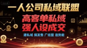 一人公司私域联盟，高客单私域，强人设成交，建私域 搞发售 广结盟 造势能-第一资源库