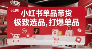 小红书单品带货，极致选品，打爆单品（更新）-第一资源库
