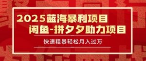 2025 最新闲鱼蓝海暴利项目 快速粗暴让你月入过1W不是梦，保姆级教程【揭秘】-第一资源库