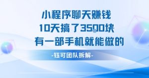 小程序聊天挣钱10天搞了3.5k，有一部手机就能做的-第一资源库