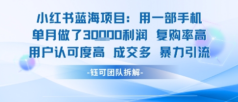 小红书蓝海项目，一部手机单月做了3W利润，小白也能月入过1W用户认可度高成交多-第一资源库