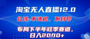 淘宝无人直播12.0，不封号，不违规，布局下半年旺季赛道，日入1k+(独家技术)【揭秘】-第一资源库