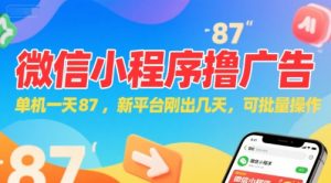 微信小程序看广告,单机一天87,新平台刚出几天,可批量操作,日入5张-第一资源库