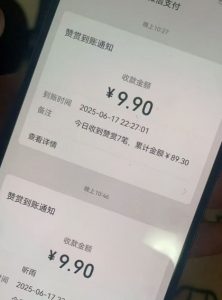 二次元男粉快速变现项目，私域卖虚拟产品，百分利润-第一资源库
