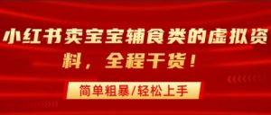 小红书卖宝宝辅食类的虚拟资料，从引流到私域变现，全程干货，简单粗暴，轻松上手-第一资源库