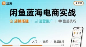 闲鱼蓝海电商实战,店铺搭建运营售后全流程-第一资源库